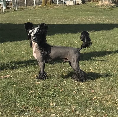 7,5 months